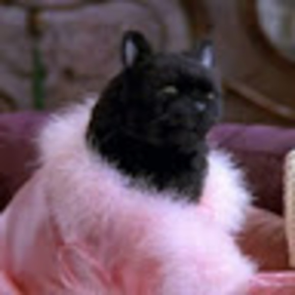 Meet your Posher, Emily - Picture 1 of 1